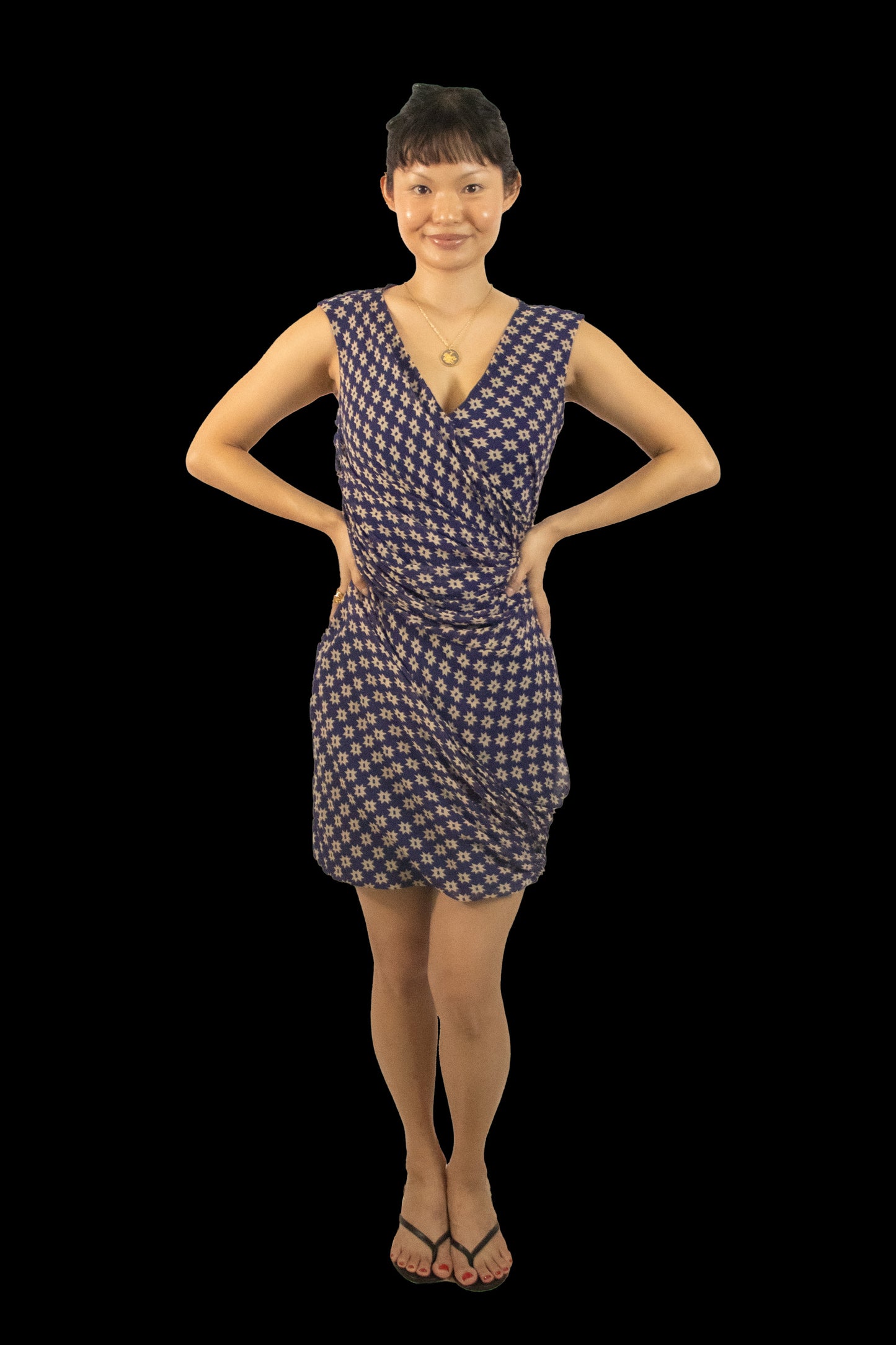 Diane Von Furstenberg Francia Star Print Dress