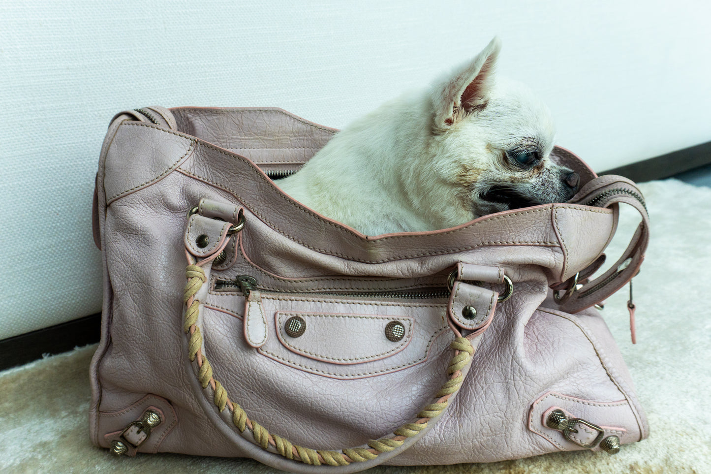Balenciaga City Bag