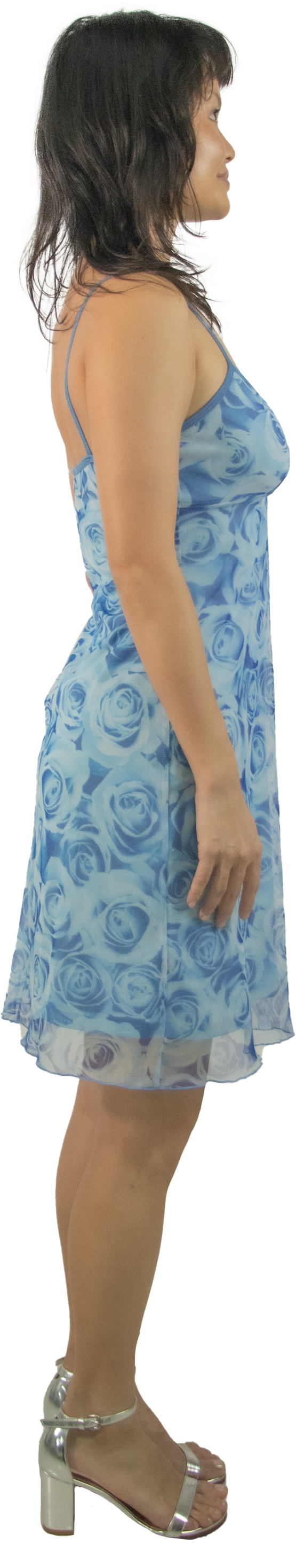 Tightrope Rose Mesh Dress