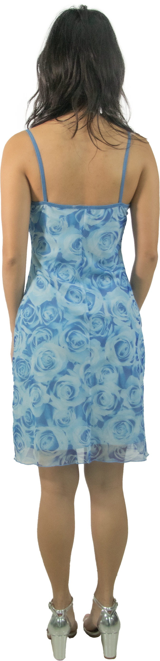 Tightrope Rose Mesh Dress
