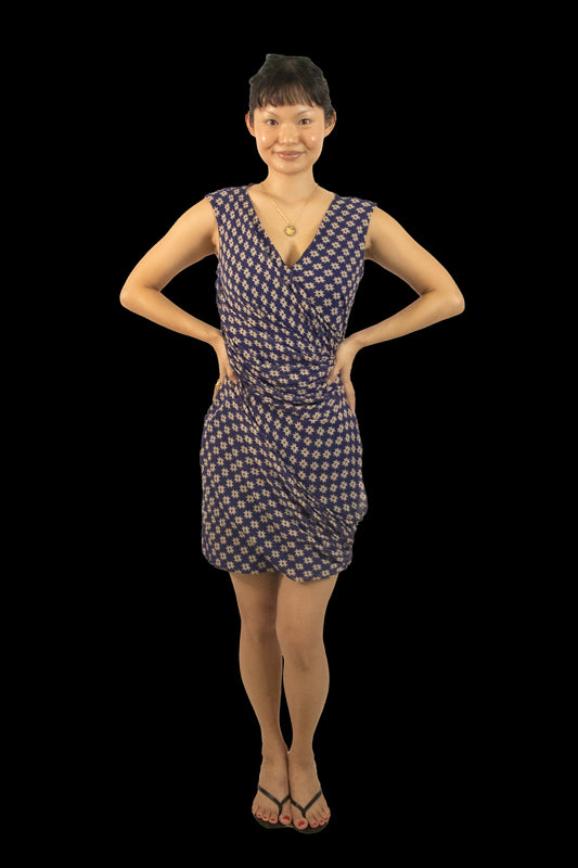 Diane Von Furstenberg Francia Star Print Dress