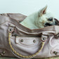 Balenciaga City Bag
