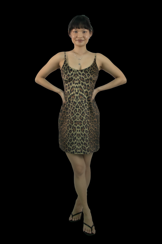 Christina Leopard Print Velvet Minidress