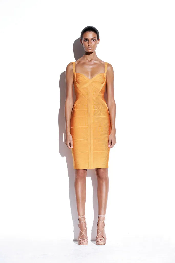 Herve leger bodycon dress sales